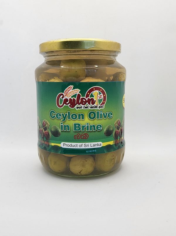 Ceylon Olive